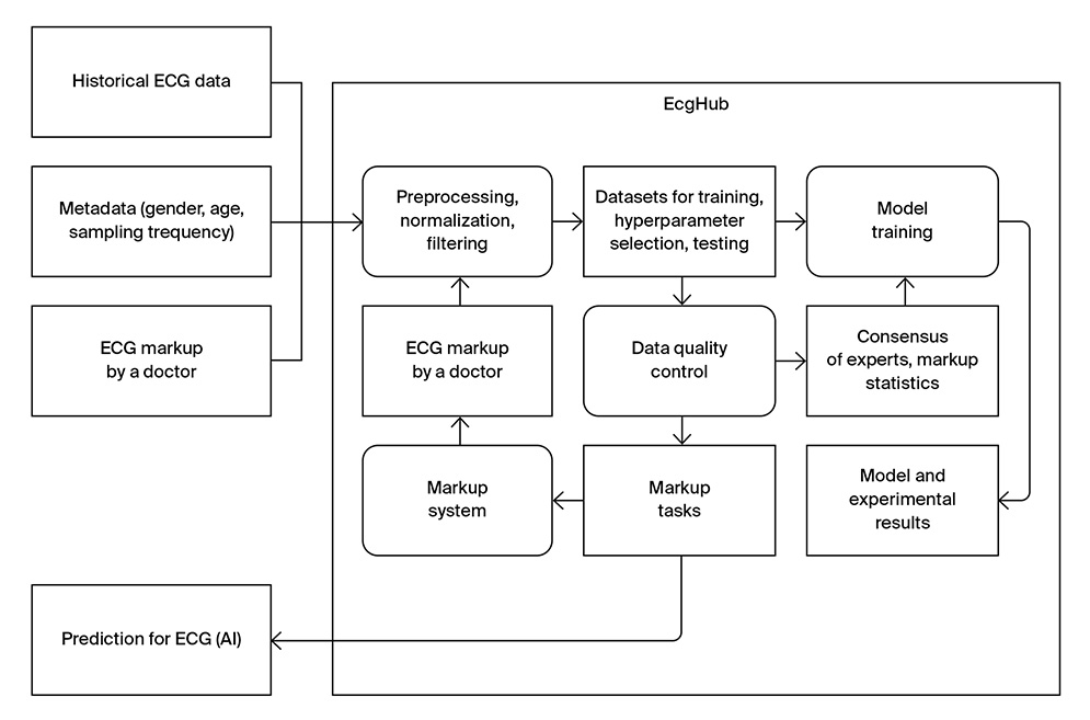 EcgHub: in-depth analysis of digital ECG